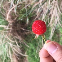 徐琴琴的简历