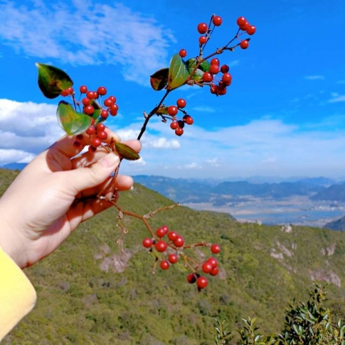 郑丽丽的简历