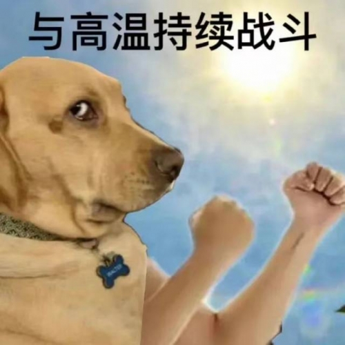 潘柏蓁的简历